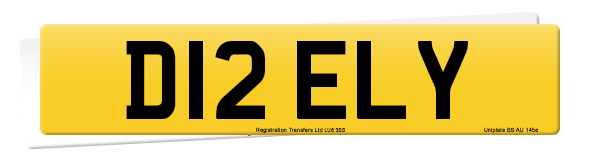 Registration number D12 ELY